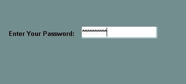 Create Password protect text field in Oracle Forms